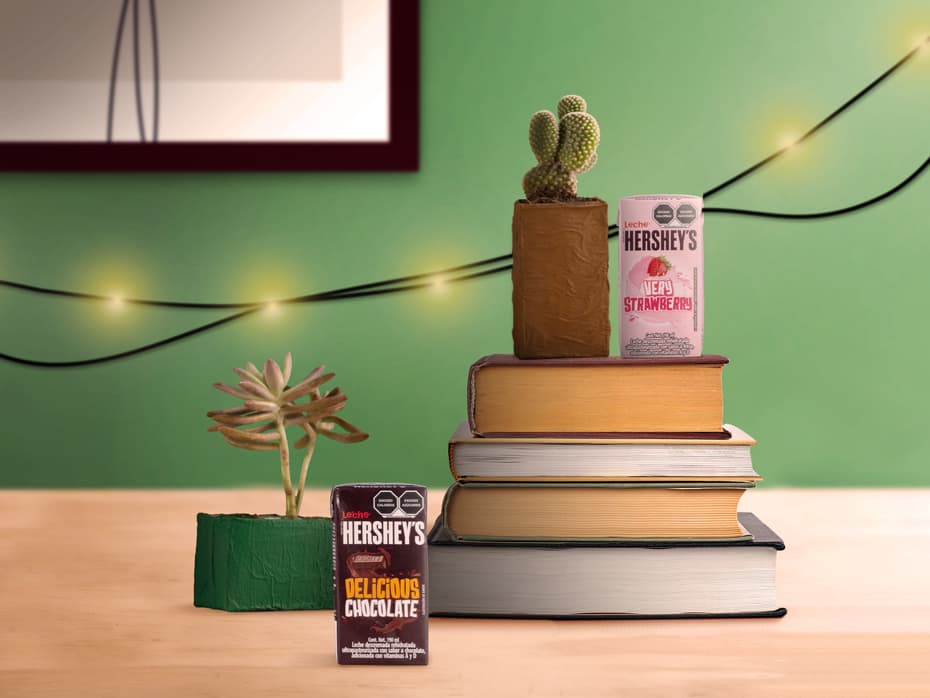 Crea macetitas con el envase Tetra Pak de tu Leche HERSHEY'S