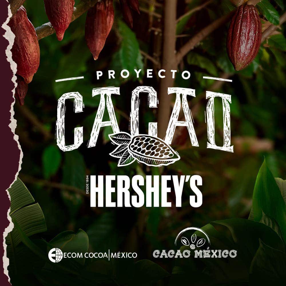 Proyecto Cacao Hershey