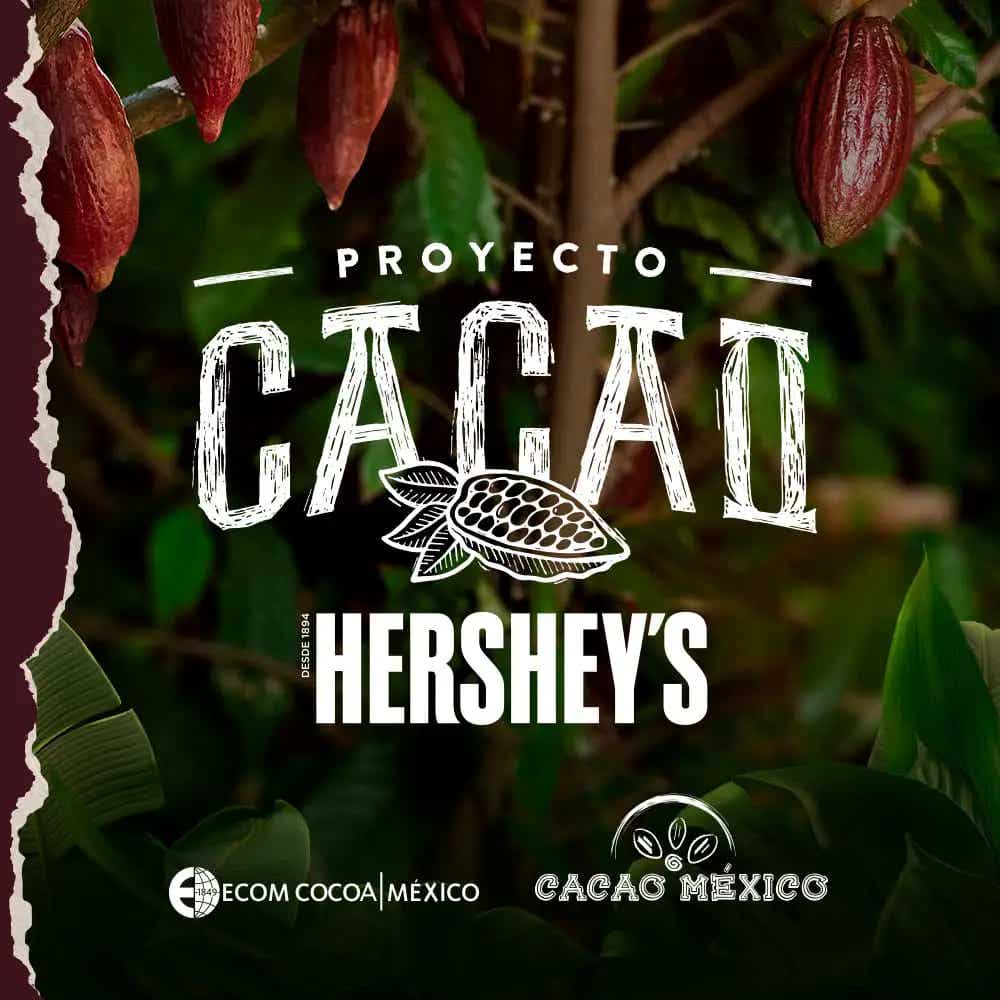 Proyecto cacao HERSHEY'S