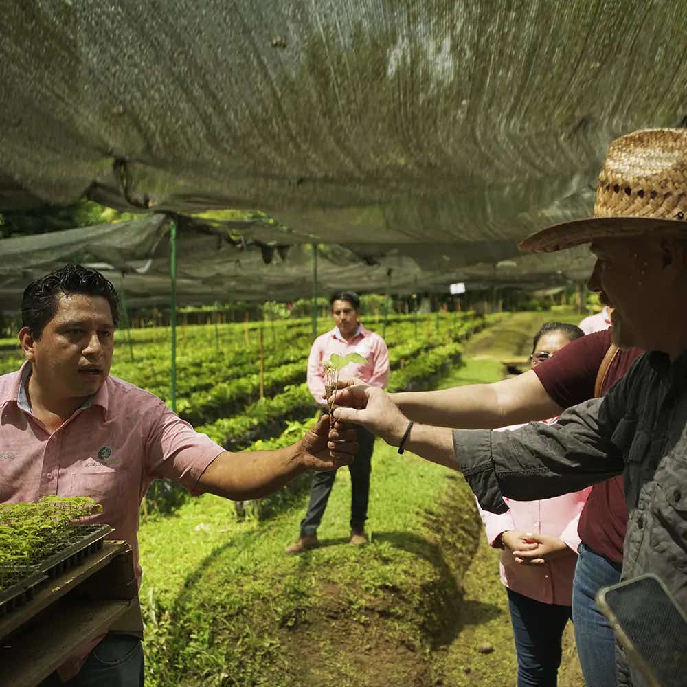 Visitas a escuelas primarias